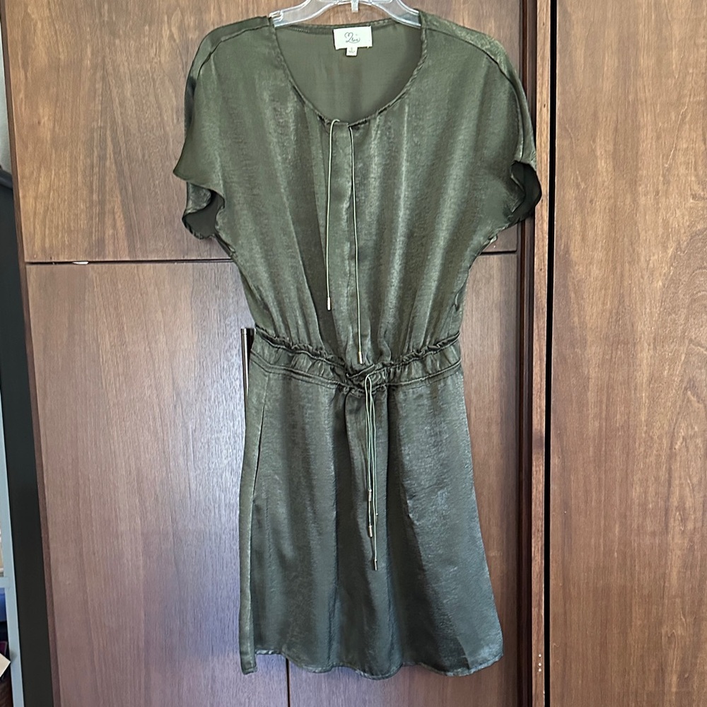 Love Olive Satin Mini Dress